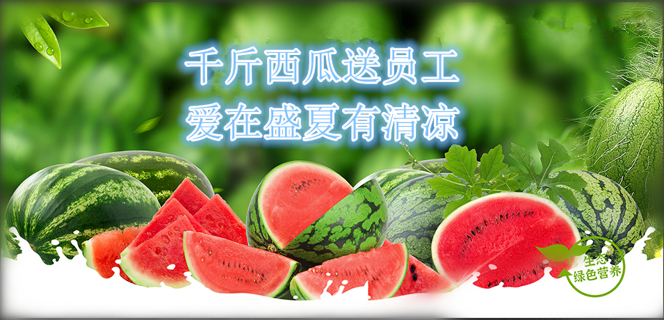 通達(dá)軟件公司： 千斤西瓜送員工，愛(ài)在盛夏有清涼